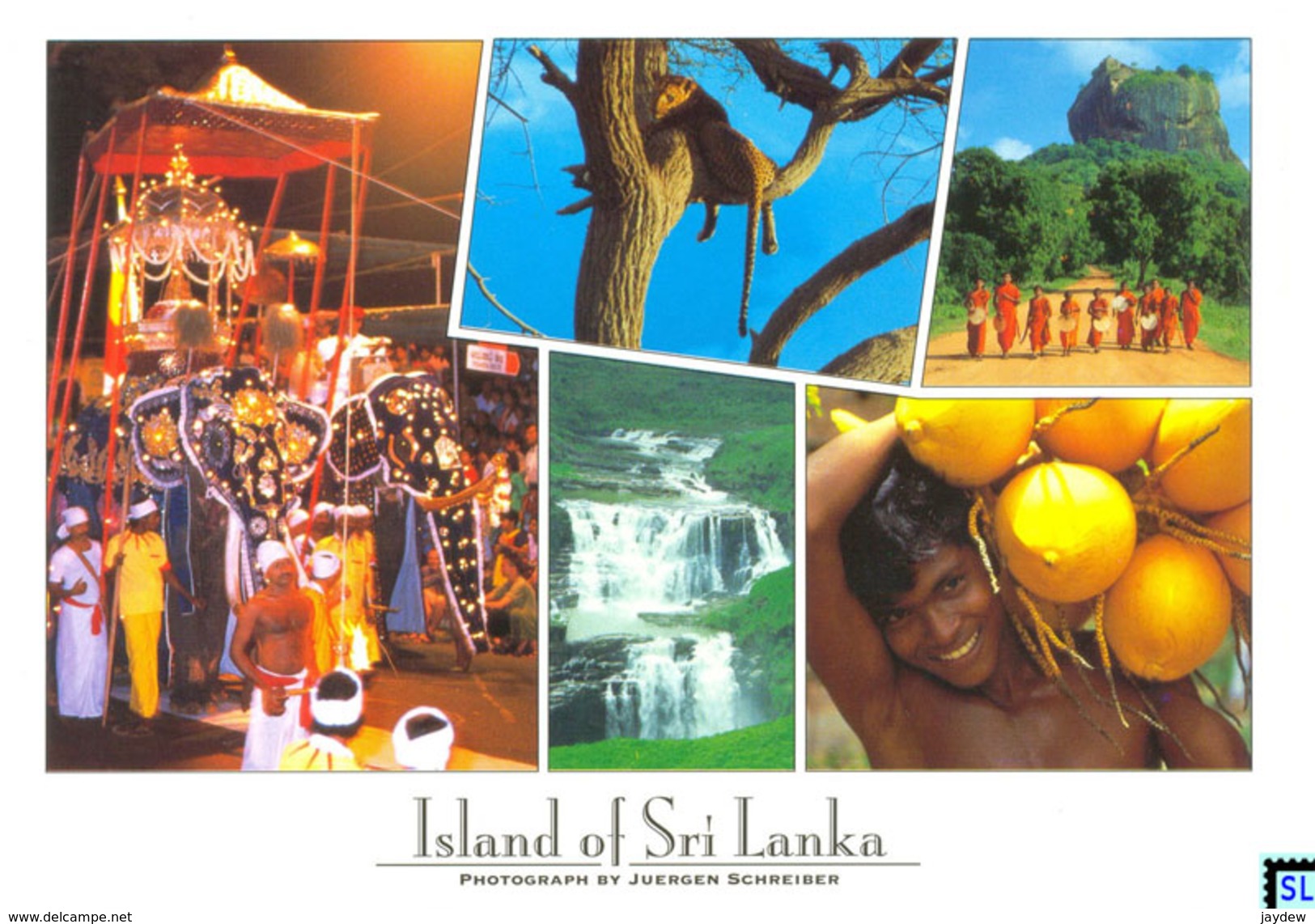 Sri Lanka Postcards, People, Nature, Leopard, Postcard - Sri Lanka (Ceylon)