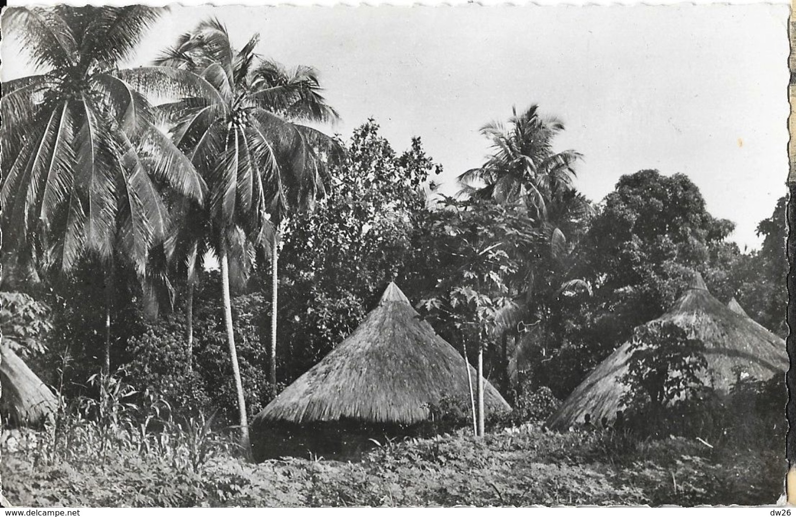 Conakty - Cases Indigènes Aux Environs De Conakri - Librairie Constantin - Guinée Française