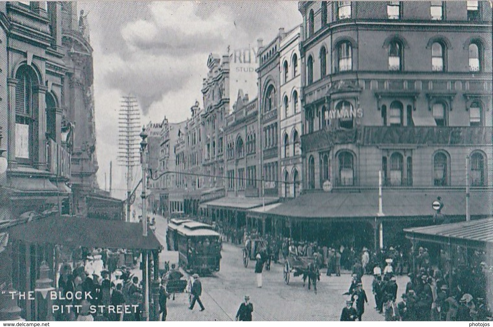 4 Cartes Photo : Sydney , Market, Cathedral, Parliament, Pitt Sreet  Buses         Unused    Near 1900 - Sydney