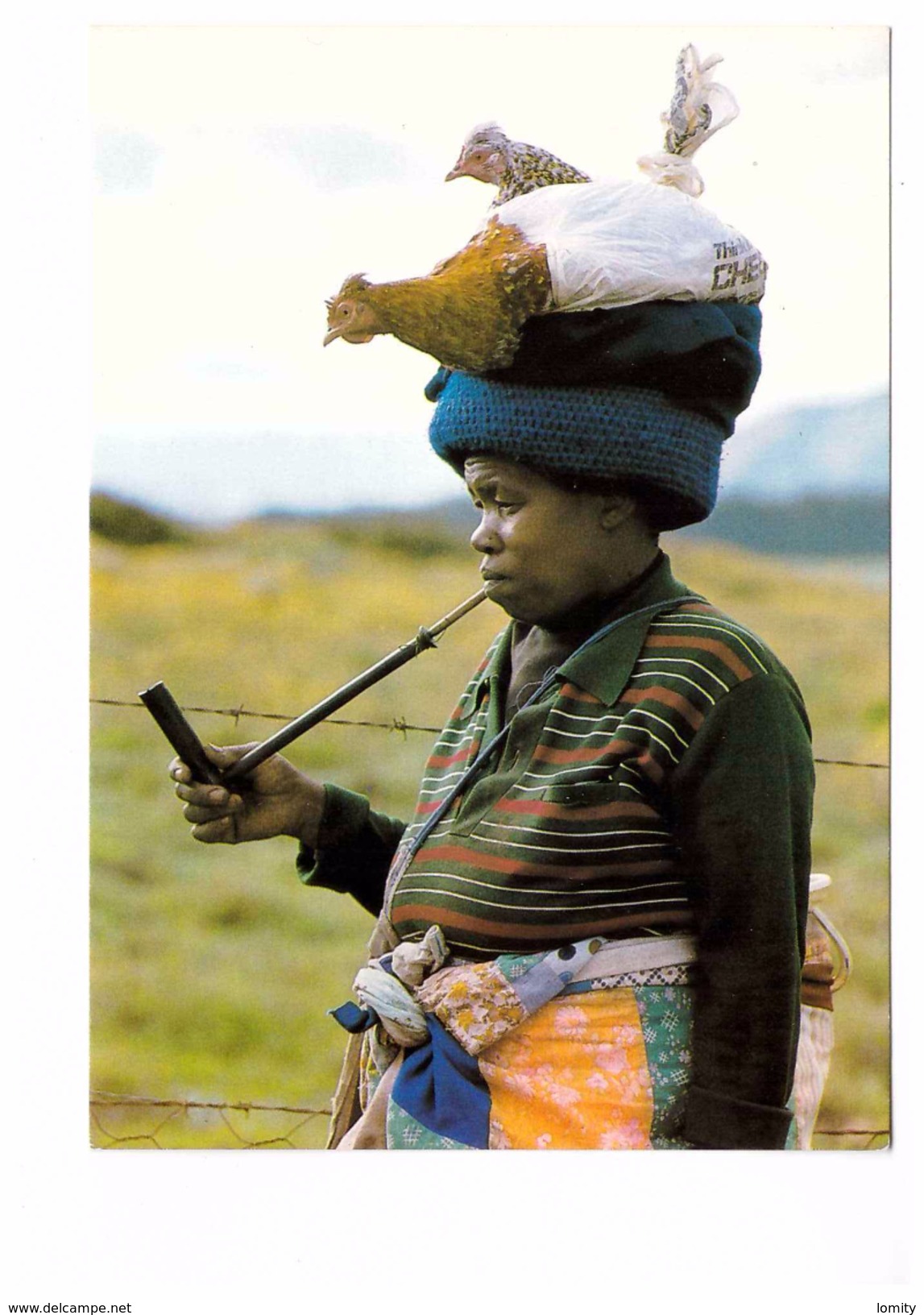 Afrique Du Sud South Africa Fumeur Pipe Smoking Xhosas Transkei - Südafrika