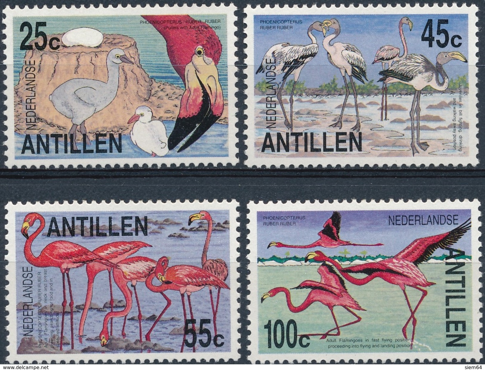 Ned,Antillen  Vogels - Flamingos