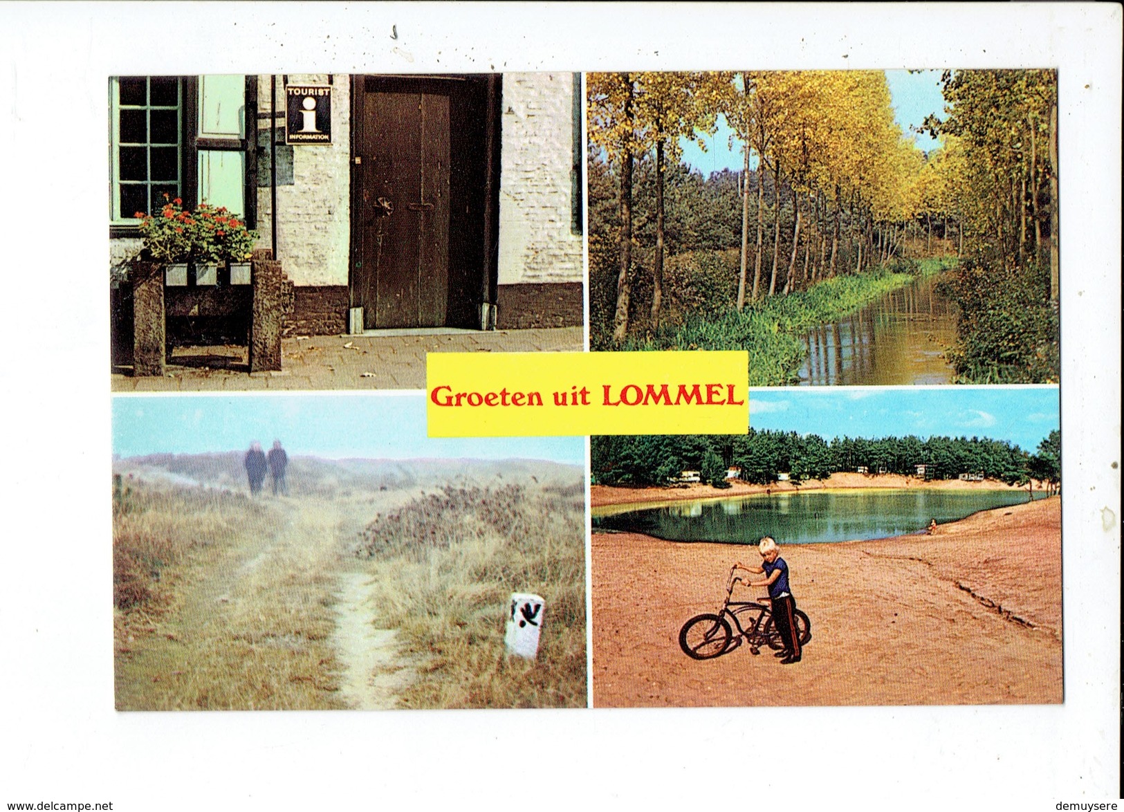 38766 Groeten Uit LOMMEL Infokantoor Markt - Wateringen Kolonie - Eekhoornpad Kattenbos - Zicht Rekreatie Gebied - Lommel