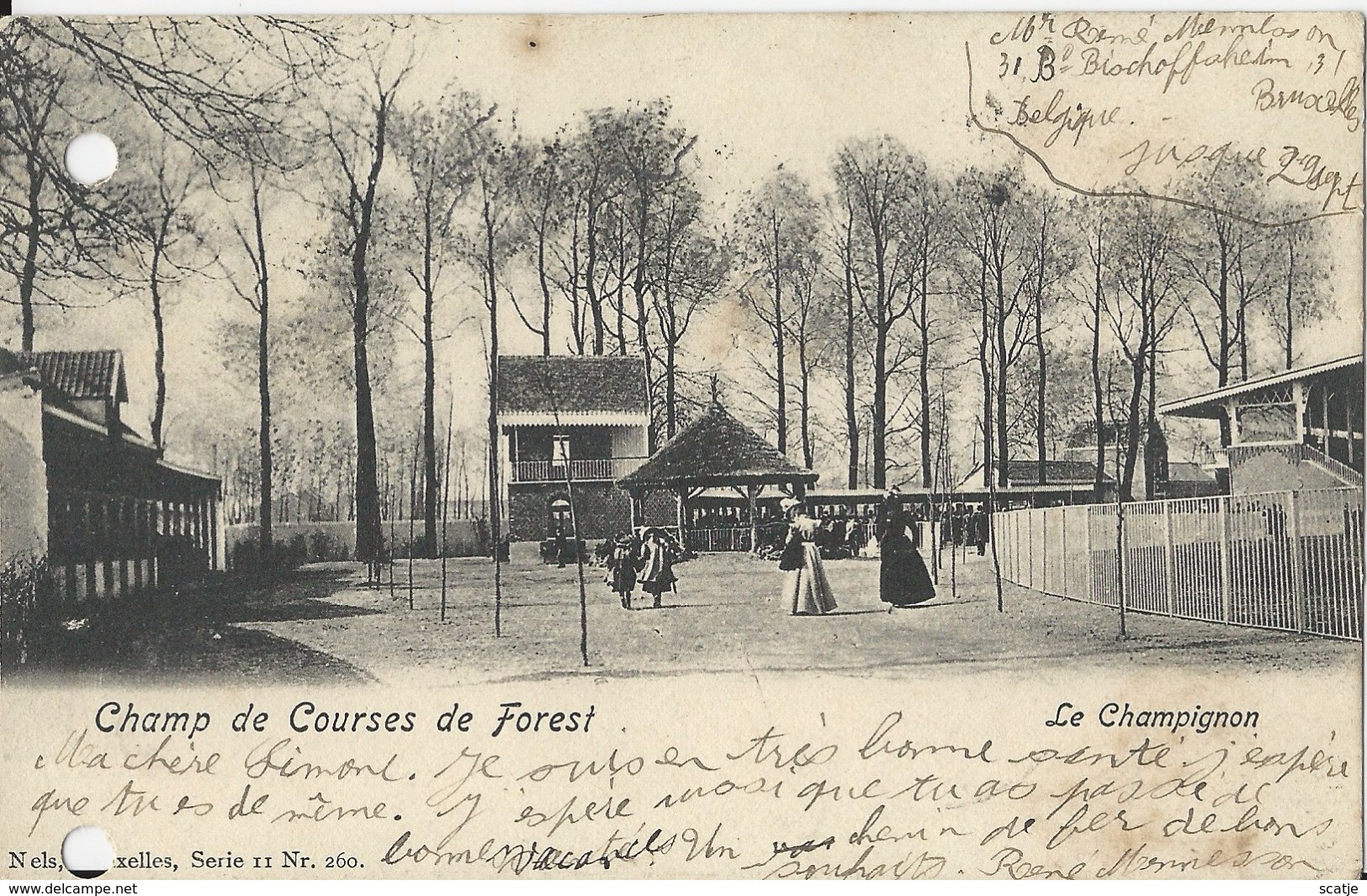 Champ De Courses De Forest  -  Le Champignon.  -   1911  Naar   Beauvais  (kaart Geperforeerd) - Forest - Vorst