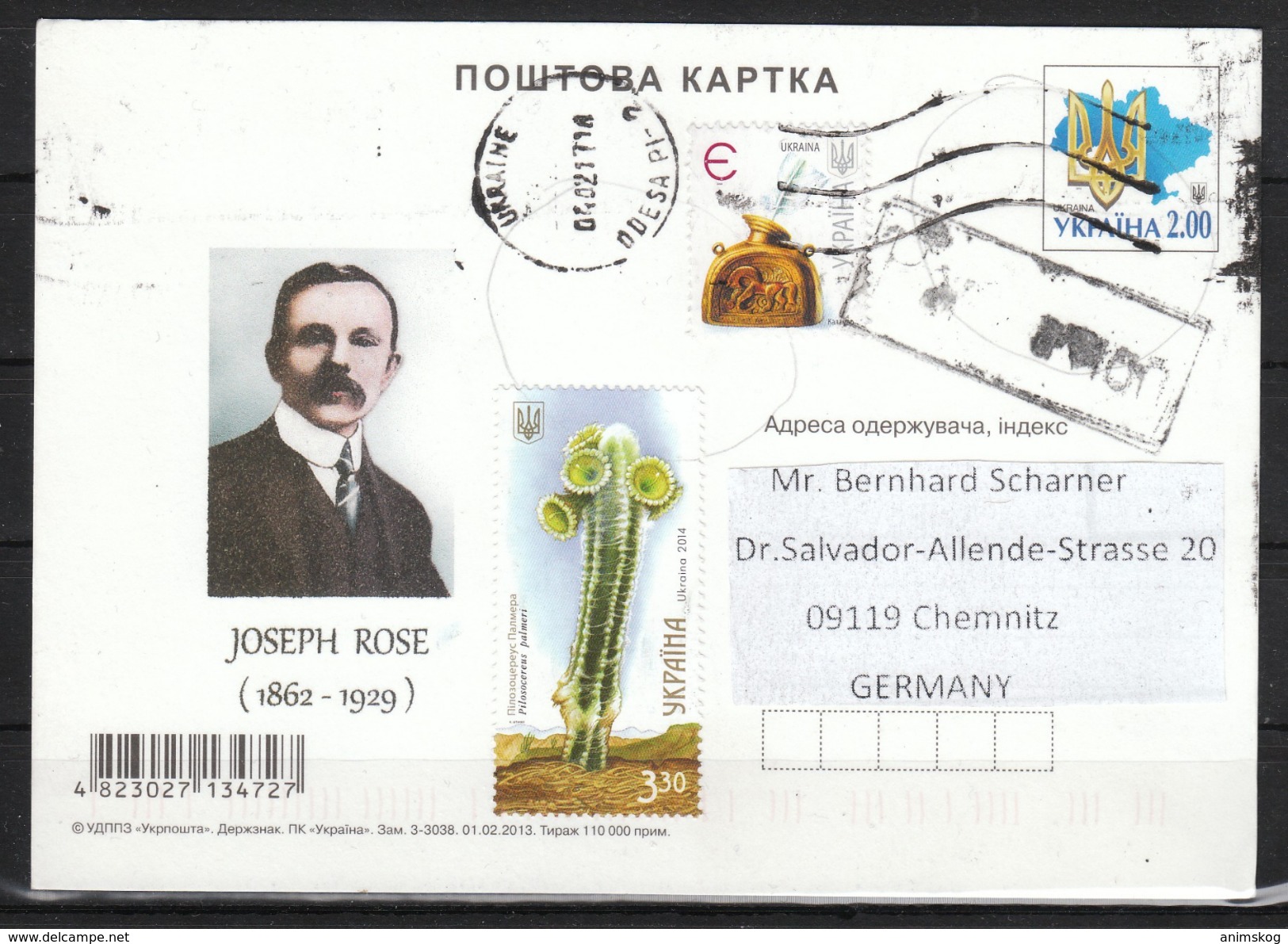 Ukraine 2013°, Postkarte, Gelaufen, Kaktus / Ukraina 2013, Used, Postcard, Cactus - Sukkulenten