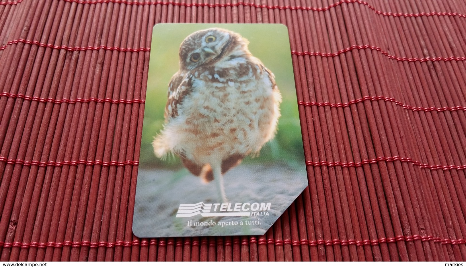 Hibou Telecarte - Eulenvögel