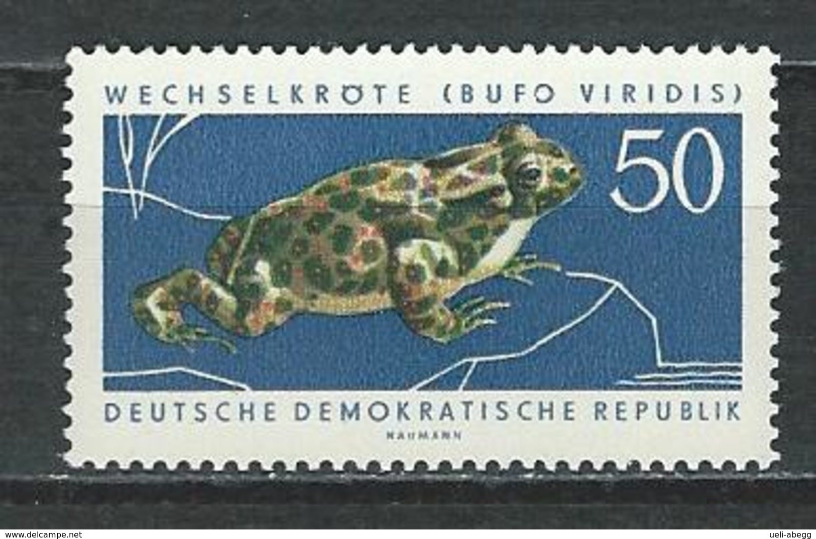 DDR Mi 981 ** MNH Bufo Viridis - Frösche