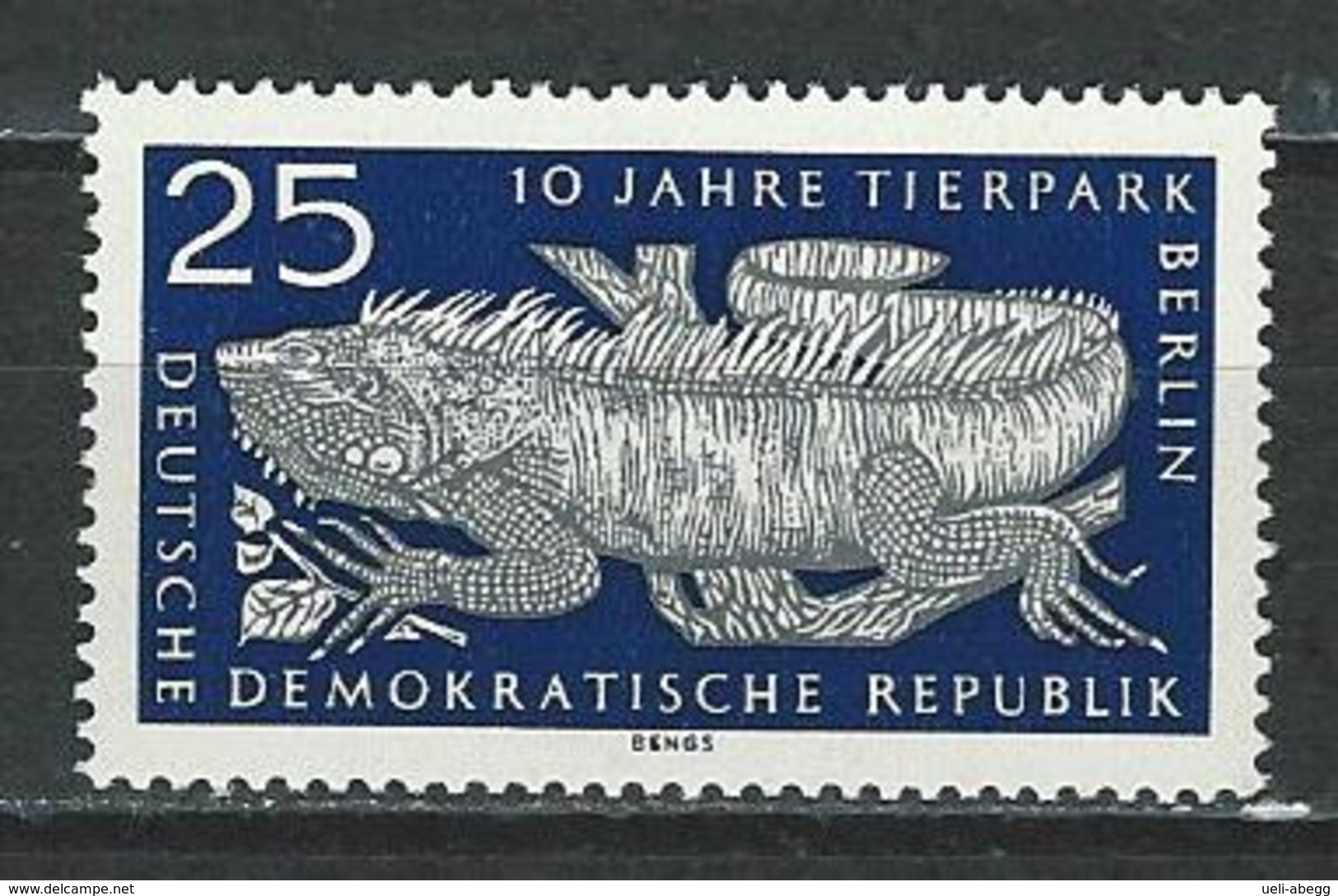 DDR Mi 1094 ** MNH Iguana Iguana - Sonstige & Ohne Zuordnung