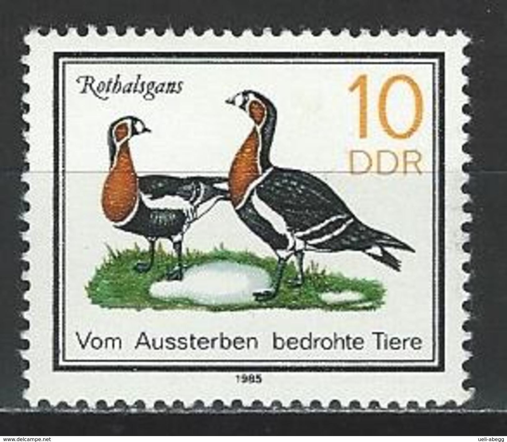 DDR Mi 2953 ** MNH Branta Ruficollis - Ganzen