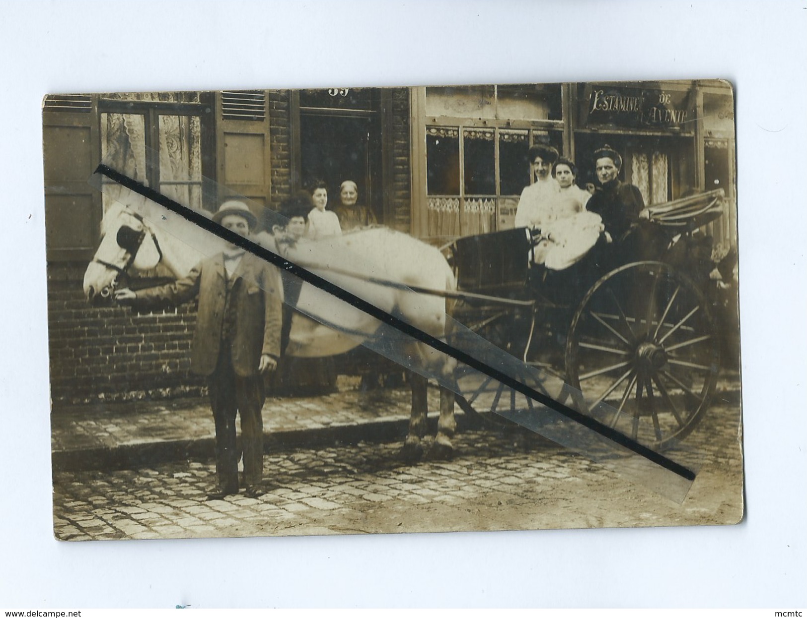 Carte Photo : Attelage  Cheval  -   (  Estaminet De L'Avenue ) - Chevaux