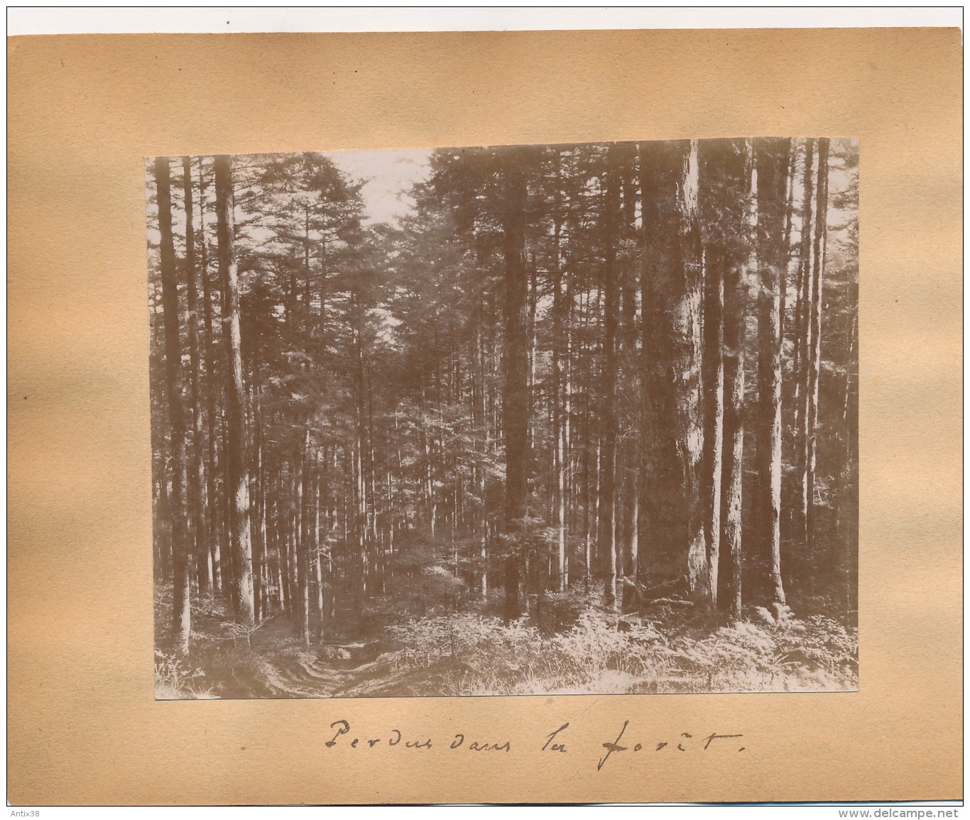 G45 - Photographie - Vue Générale De RAON L'ETAPE - 88 - Vosges - Au Verso "Perdus Dans La Forêt" - Anciennes (Av. 1900)