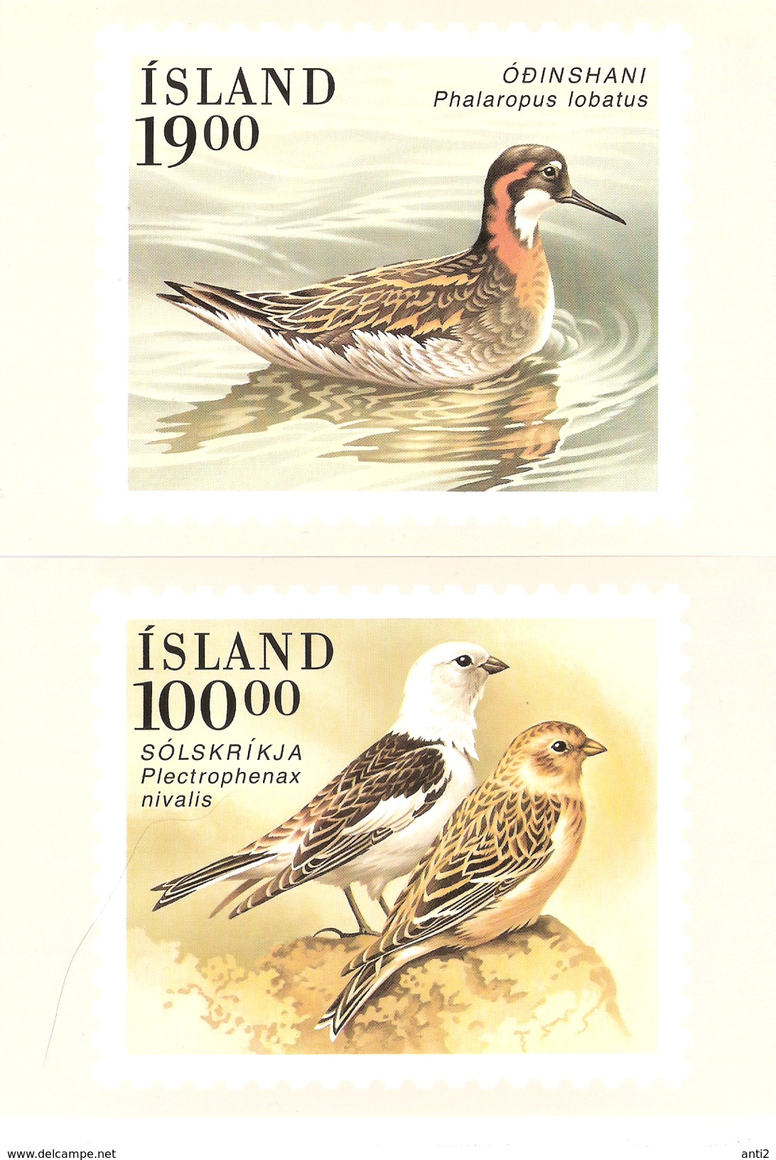 Iceland 1989 Bird, Red-necked Phalarope, Snow Bunting   Maximum Card - Only Card - Tarjetas – Máxima