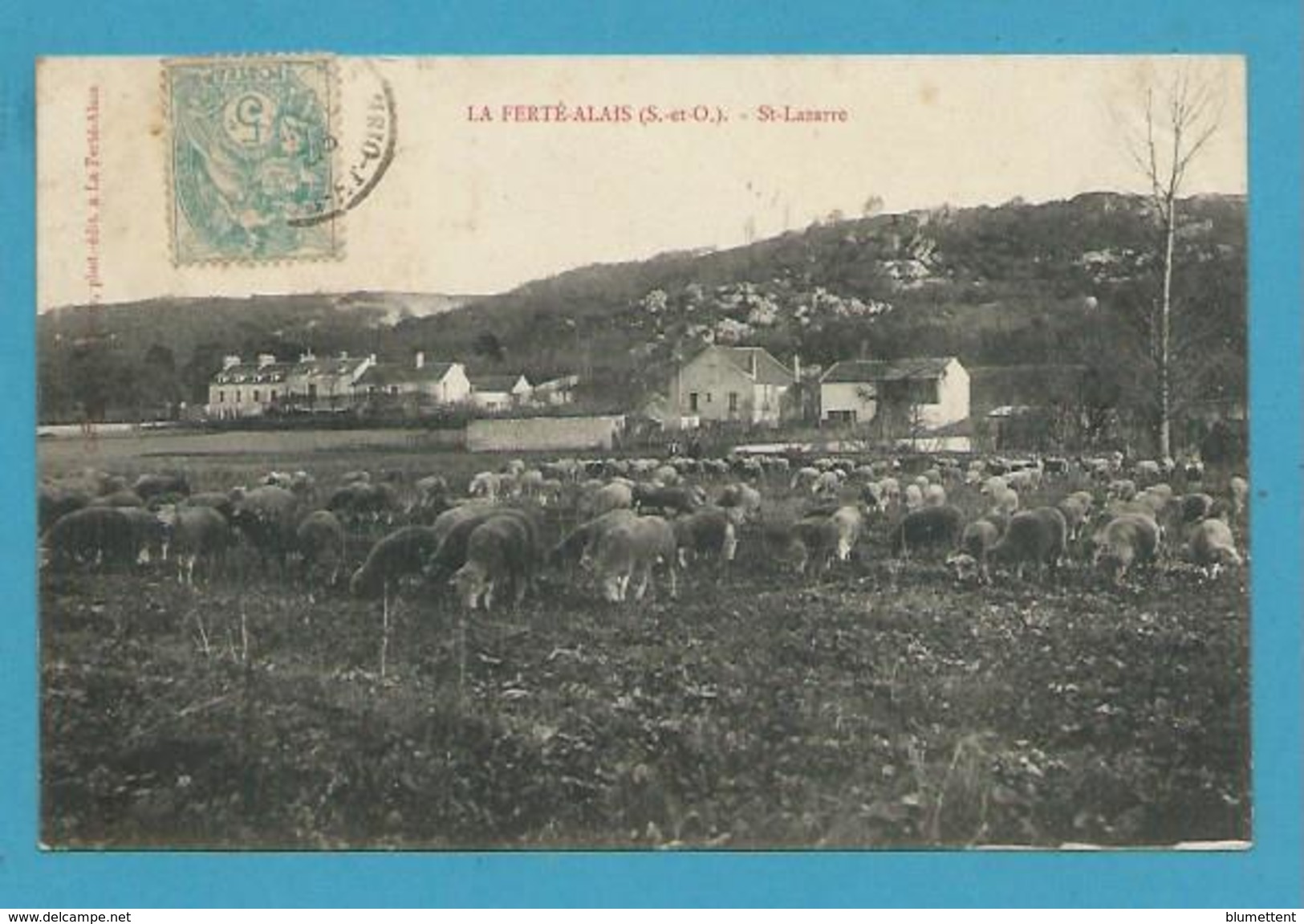 CPA Moutons Au Paturage - St-Lazarre LA FERTE-ALAIS 91 - La Ferte Alais