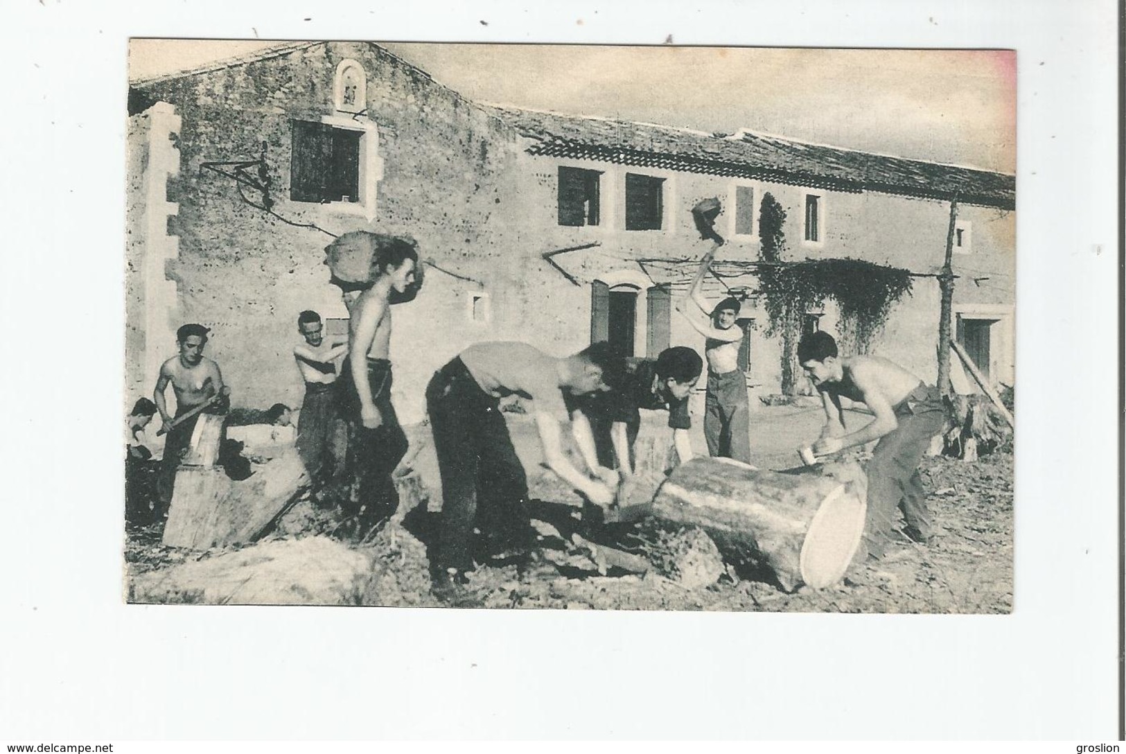 LES COMPAGNONS DE FRANCE AUX CHAMPS (CREE EN 1940) A LA FERME AUSSI IL FAUT DES BRAS SOLIDES - Guerre 1939-45