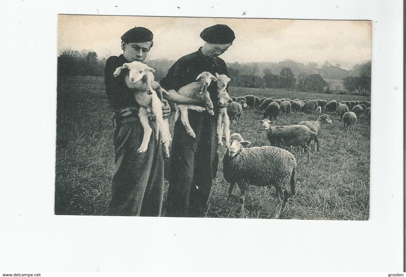 LES COMPAGNONS DE FRANCE AUX CHAMPS (CREE EN 1940) TROUPIAU TROUPIAU JE N'EN AVAIS GUERE - Guerre 1939-45