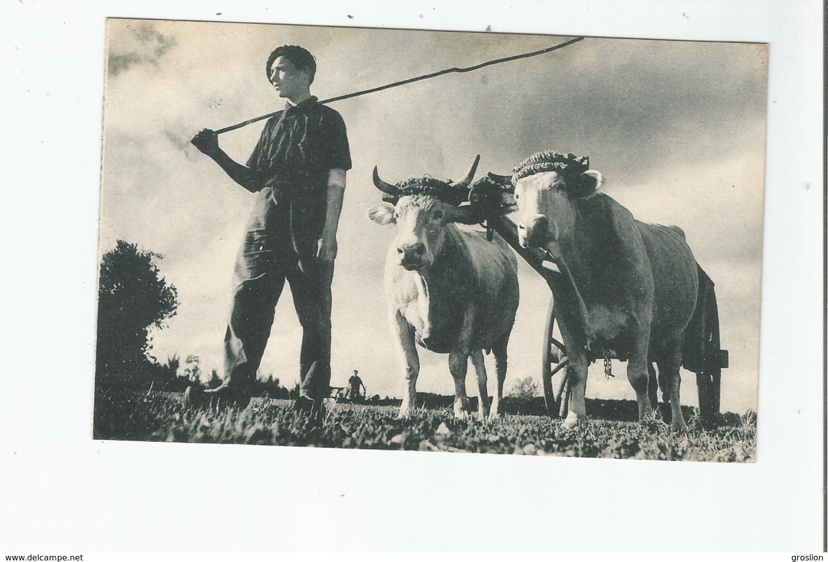 LES COMPAGNONS DE FRANCE AUX CHAMPS (CREE EN 1940) J'AI DEUX GRANDS BOEUFS - Guerre 1939-45