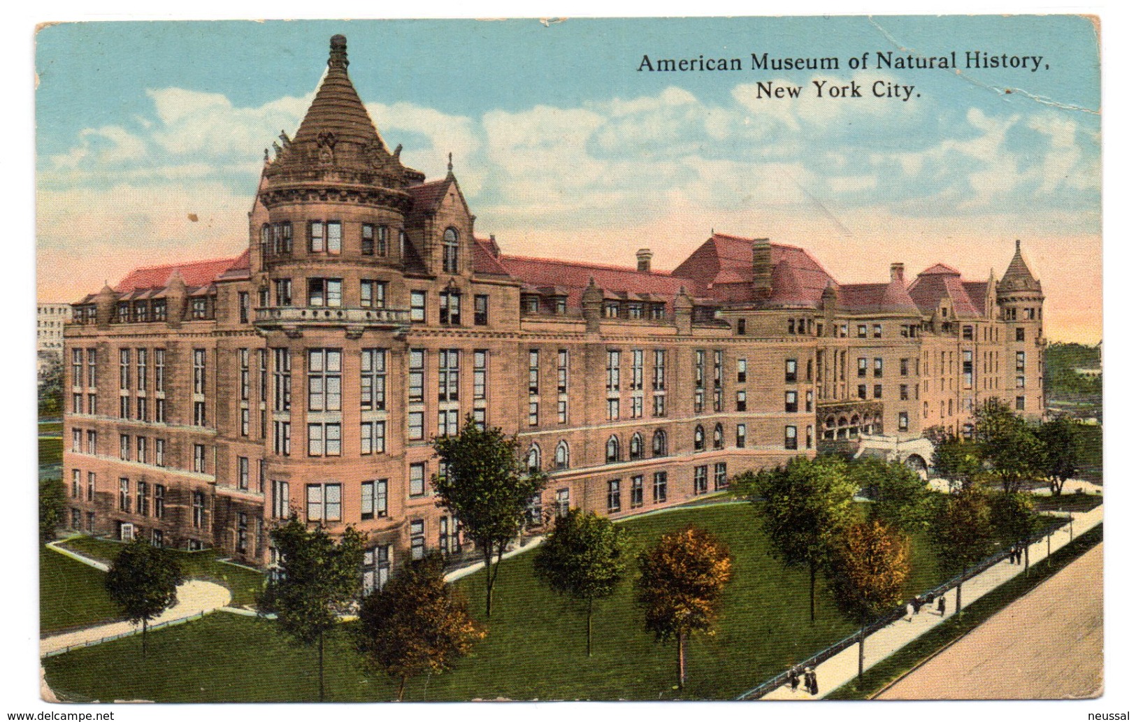Tarjeta Postal  De American Museum Of Natural  History. - Musei