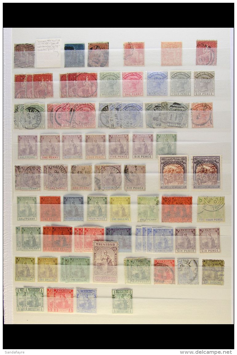1851-1960 ATTRACTIVE OLD RANGES On Stock Pages, Mint &amp; Used, Inc 1851-55 1d Purple-brown, 1d Blue &amp; 1d... - Trinité & Tobago (...-1961)