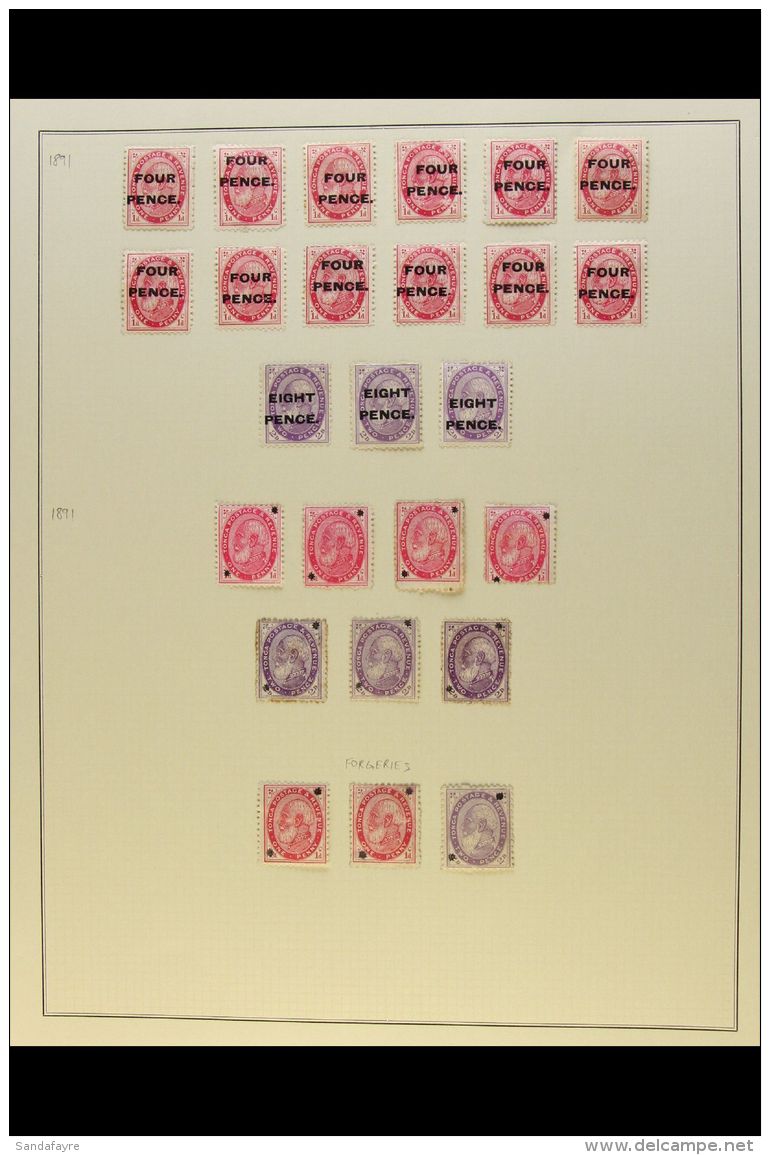 1891 SURCHARGES &amp; OVERPRINTS. Mint Group On A Page, Inc 1891 4d On 1d (x12) &amp; 8d On 2d (x3), 1891 Star... - Tonga (...-1970)