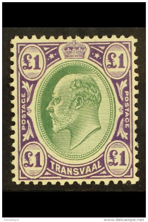 TRANSVAAL 1904 &pound;1 Green And Violet, Ed VII, On Chalk Paper, SG 272a, Superb Mint. Lovely Stamp. For More... - Non Classés