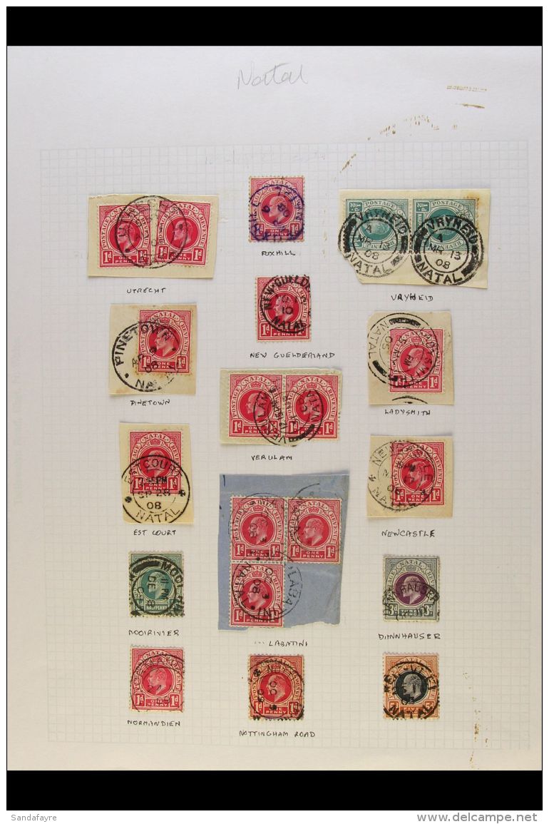 NATAL POSTMARKS COLLECTION Presented On Album Pages. Includes Natal QV To KEVII Ranges Bearing Numeral Cancels To... - Non Classificati