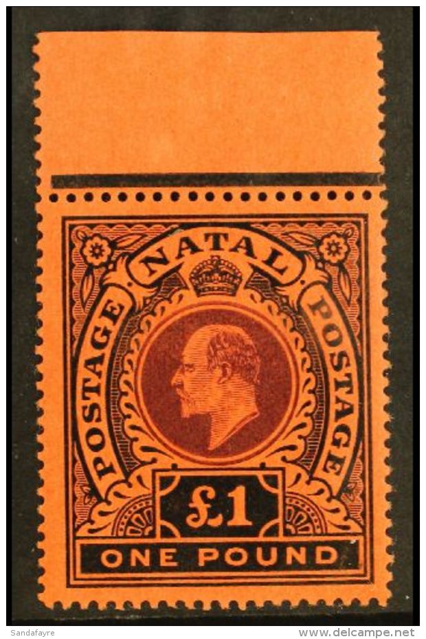 NATAL 1908-09 &pound;1 Purple &amp; Black On Red, SG 171, Fine Mint Top Marginal Example, Two Tiny Black Ink Spots... - Non Classificati