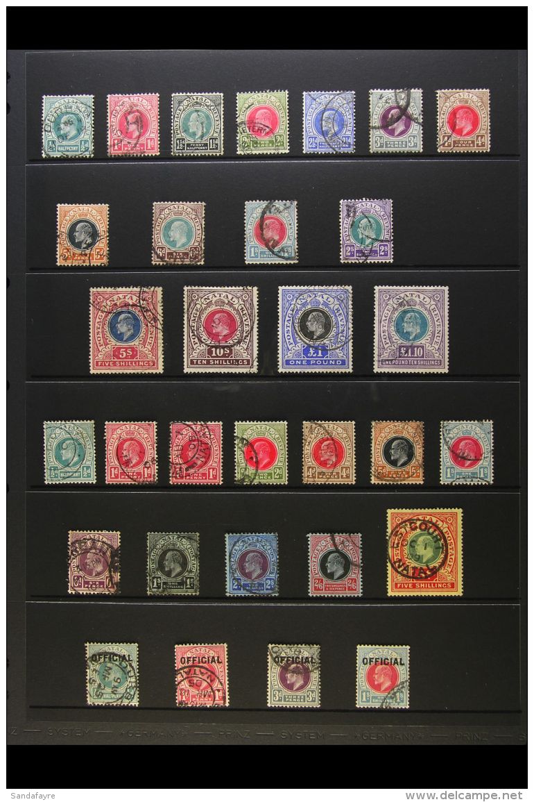 NATAL 1902-08 USED KEVII COLLECTION On A Stock Page. Includes 1902-03 Set To 2s, 1902 "Large" Types With 5s, 10s,... - Non Classificati