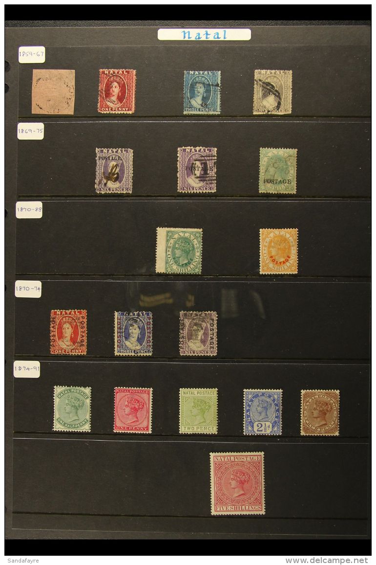 NATAL 1859 - 1908 Small But Useful Mint And Used Selection On Hagner Pages Including 1857 1d Rose Used With... - Non Classés