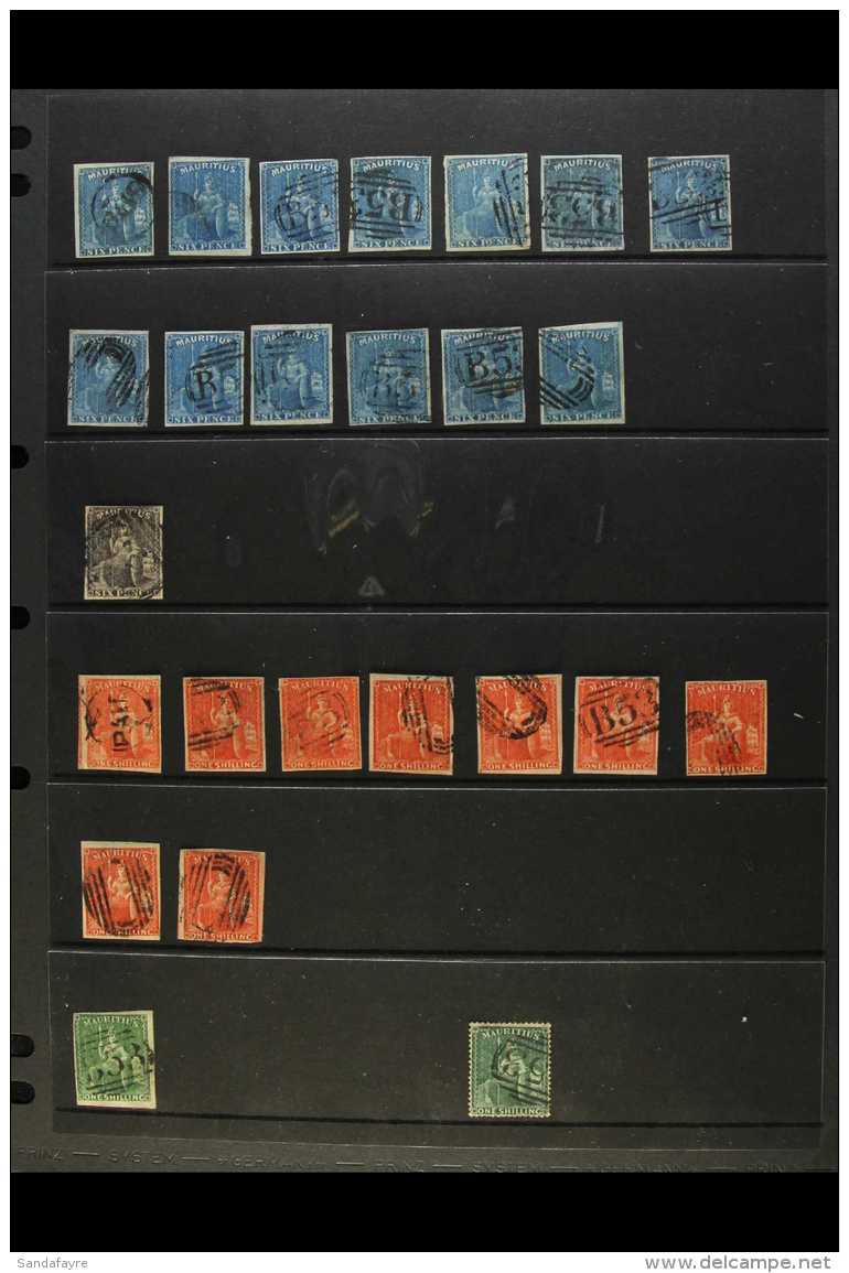 1859-1953 ATTRACTIVE USED COLLECTION/ACCUMULATION On Stock Pages, Inc 1859-61 6d Blue (x13), 6d Dull Purple-slate,... - Mauritius (...-1967)