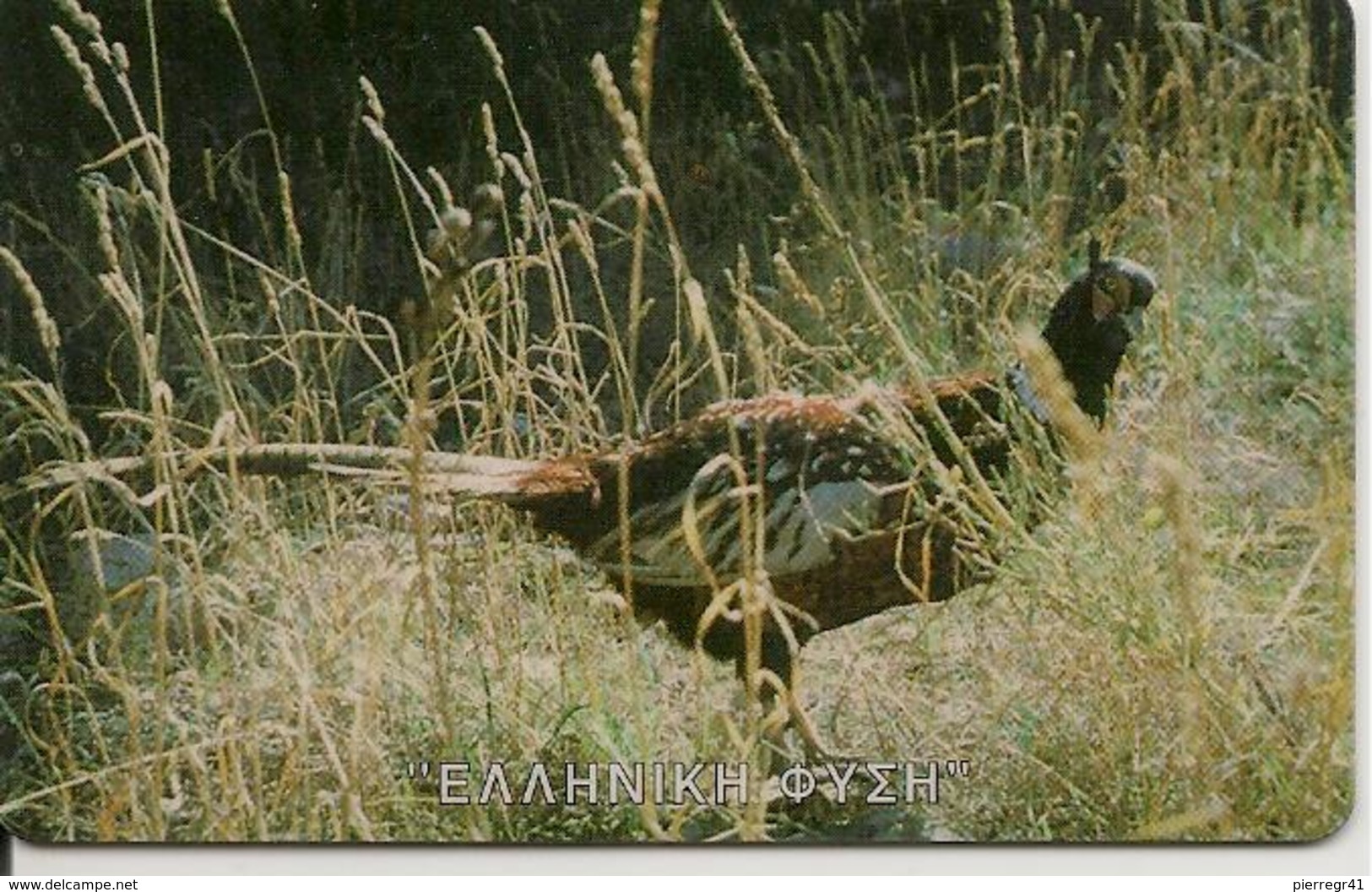 CARTE-PUCE-GRECE-FAISAN-11/95-TBE - Galline & Gallinaceo