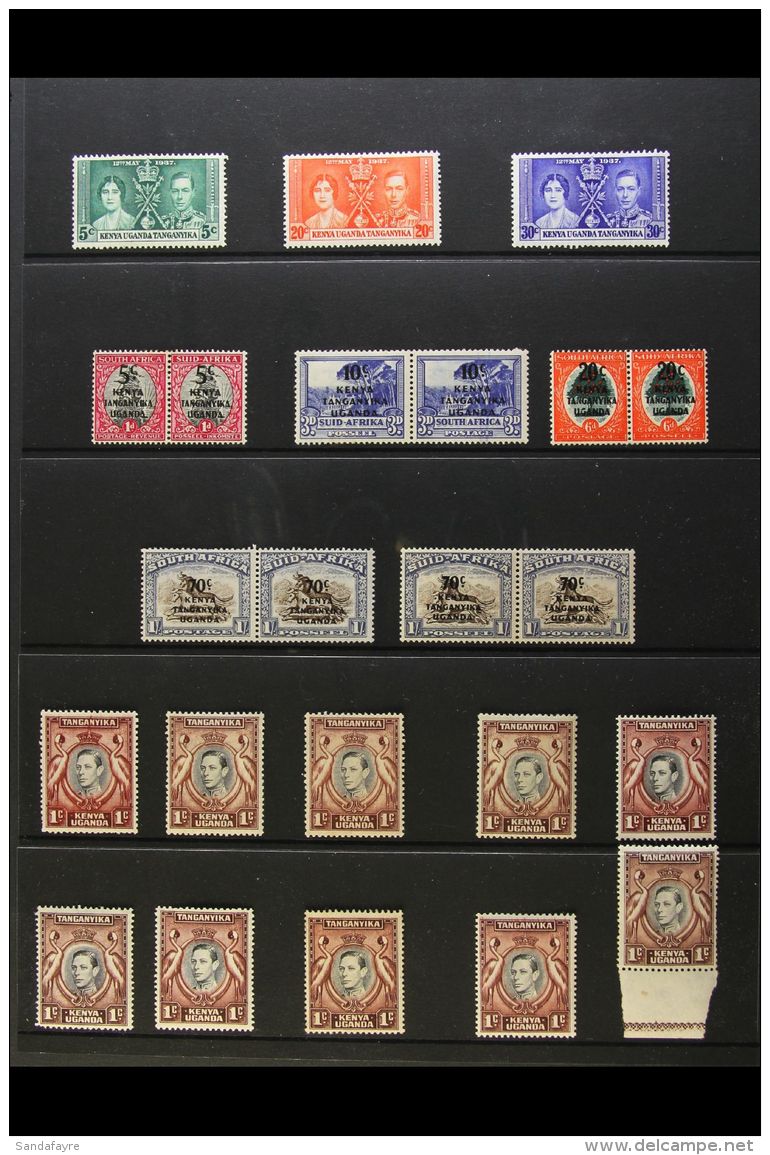 1937-1952 MINT SELECTION On Stock Pages, Inc 1938-54 Set (ex 10s) Inc 30c Black &amp; Dull Violet Blue Perf... - Vide