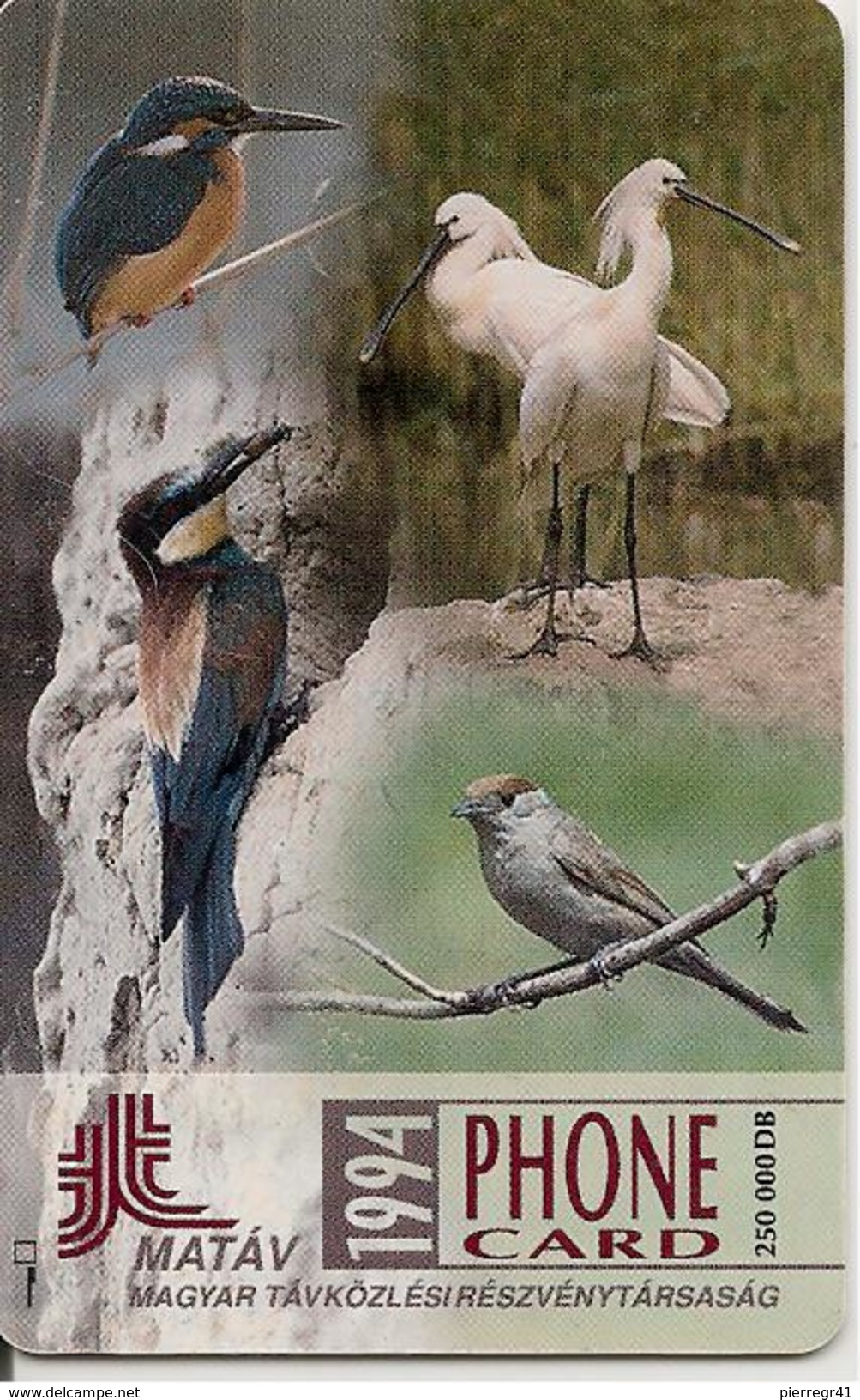 CARTE-PUCE-HONGRIE-HERONS-1994-TBE - Gallinacés & Faisans