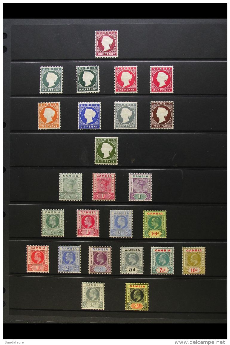1880-1909 ALL DIFFERENT MINT ASSEMBLY Includes 1880-81 1d Maroon (wmk Upright), 1886-93 &frac12;d Both Shades, 1d... - Gambie (...-1964)