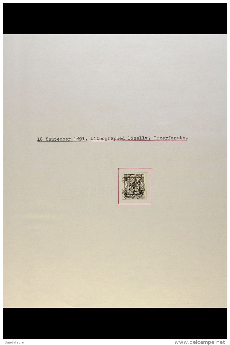 DIEGO SUAREZ 1891-1892 FINE CDS USED Collection On Album Pages. Comprises 1891 Imperf 5c Black, 1891 5c On 20c,... - Autres & Non Classés
