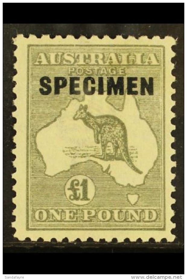 1923-24 &pound;1 Grey Roo, Third Wmk (narrow Crown), Overprinted "SPECIMEN", SG 75s, Very Fine Mint. For More... - Autres & Non Classés