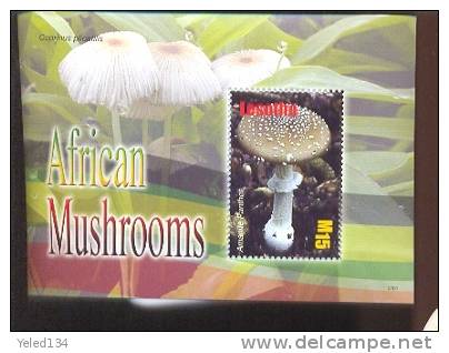 LESOTHO  1427 MINT NEVER HINGED SOUVENIR SHEET OF MUSHROOMS  #   163-4   ( - Mushrooms