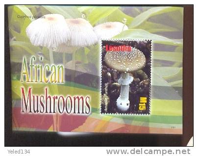 LESOTHO  1427 MINT NEVER HINGED SOUVENIR SHEET OF MUSHROOMS  #   163-4   ( - Champignons