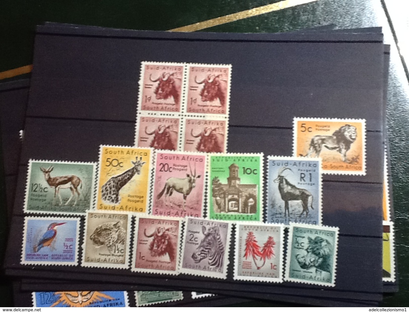 27450) Loltto Di Francobolli Del Sud Africa Nuovi MNH** Fauna Serie Completa - Collezioni & Lotti