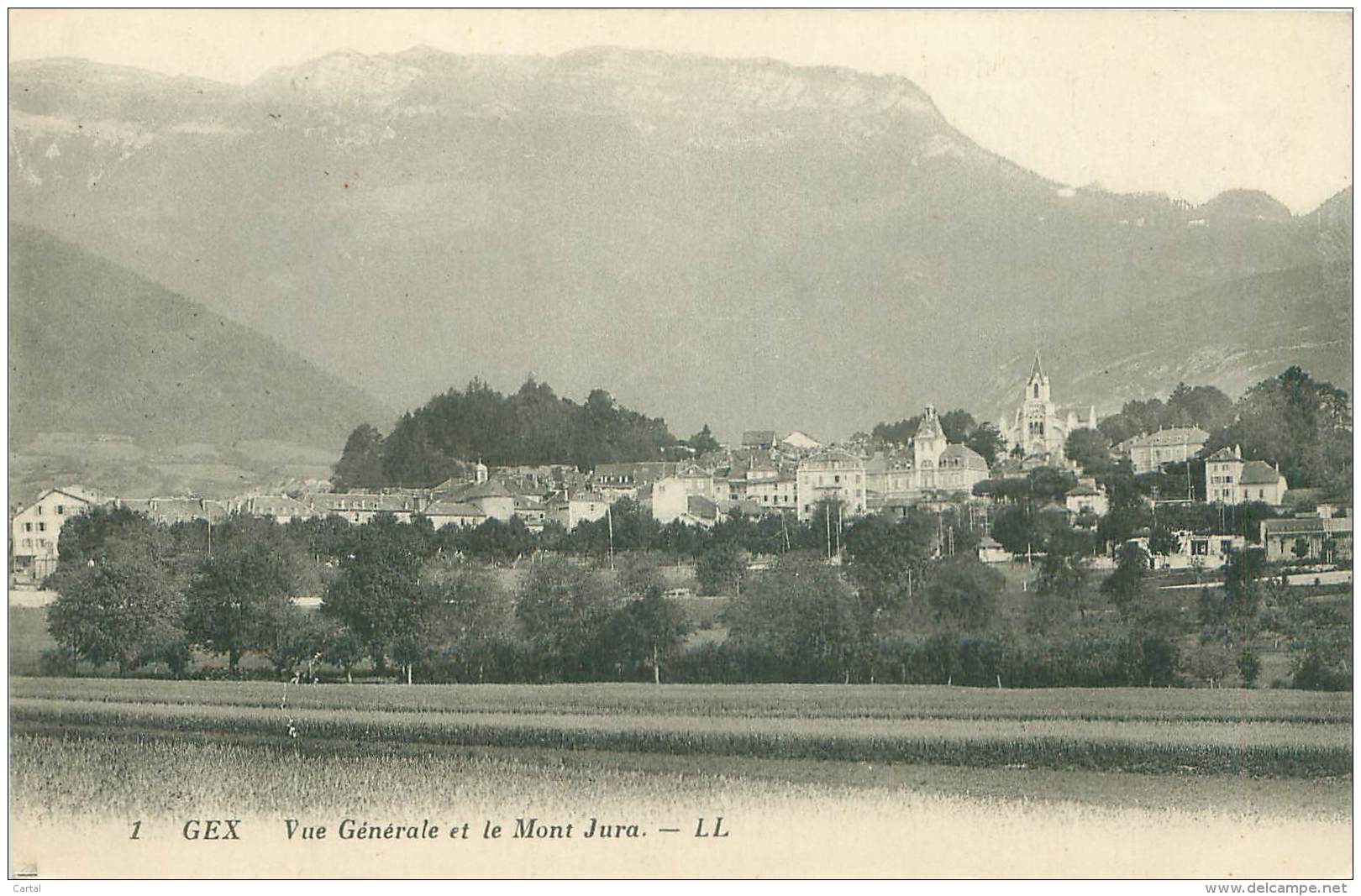 01 - GEX - Vue Générale Et Le Mont Jura - Gex