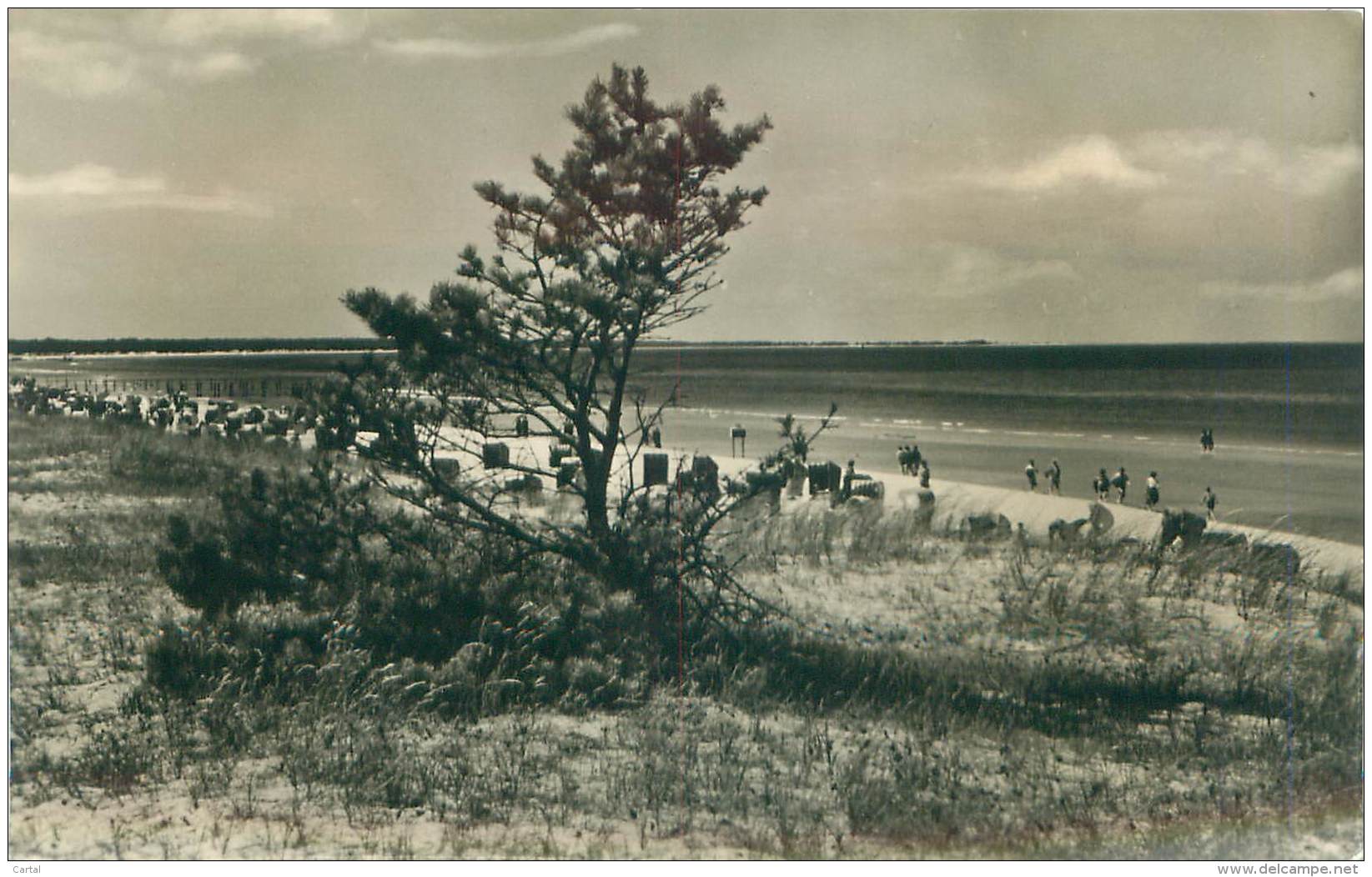 Ostseebad Prerow - Strand Und Hohe Düne - Seebad Prerow