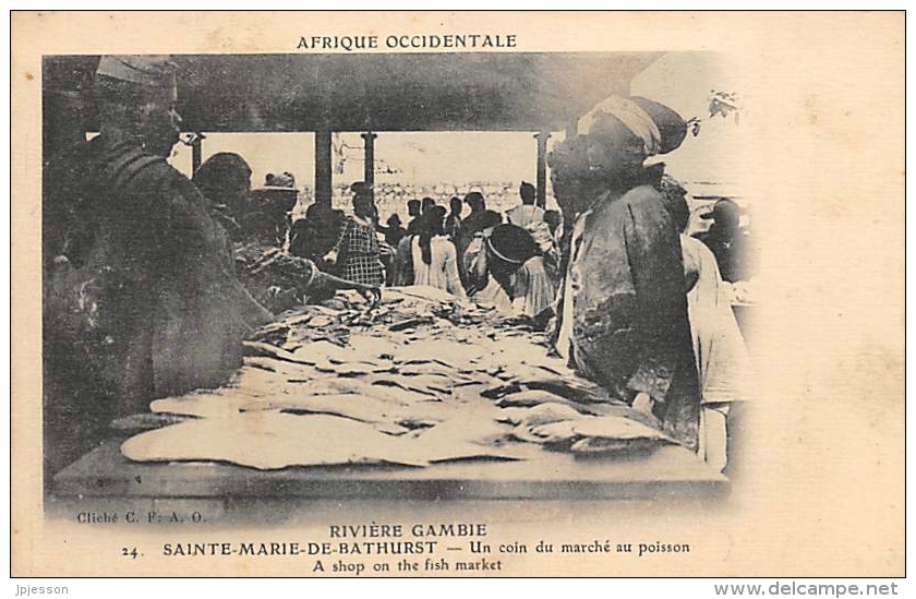 AFRIQUE  GAMBIE  RIVIERE GAMBIE  SAINTE MARIE DE BATHURST   UN COIN DU MARCHE AUX POISSONS - Gambia