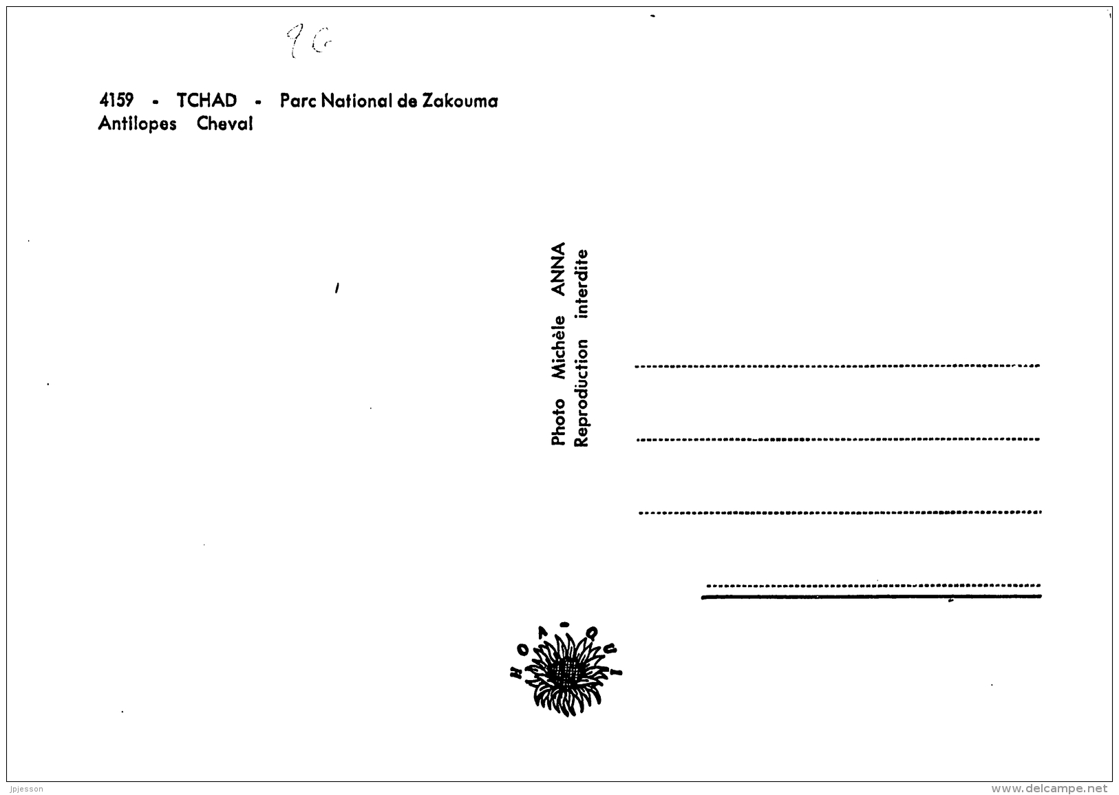 TCHAD  PARC NATIONAL DE ZAKOUMA   ANTILOPES CHEVAL - Tchad