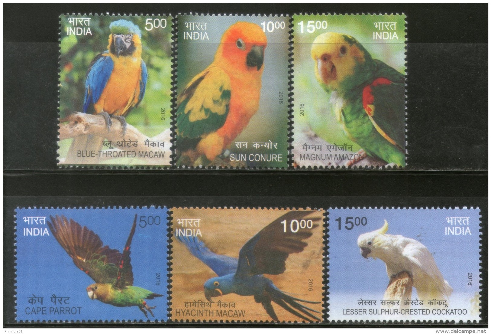 India 2016 Exotic Birds Parrots Blue Throated Macaw Wildlife Fauna 6v Set MNH - Papageien