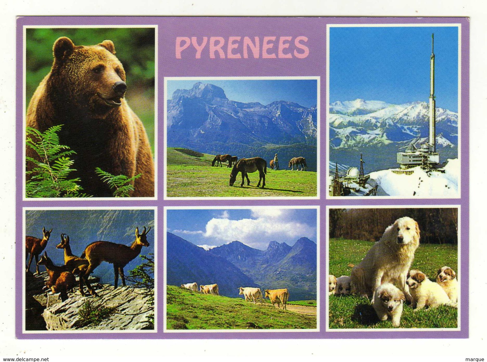 Cpm PYRENEES - Midi-Pyrénées