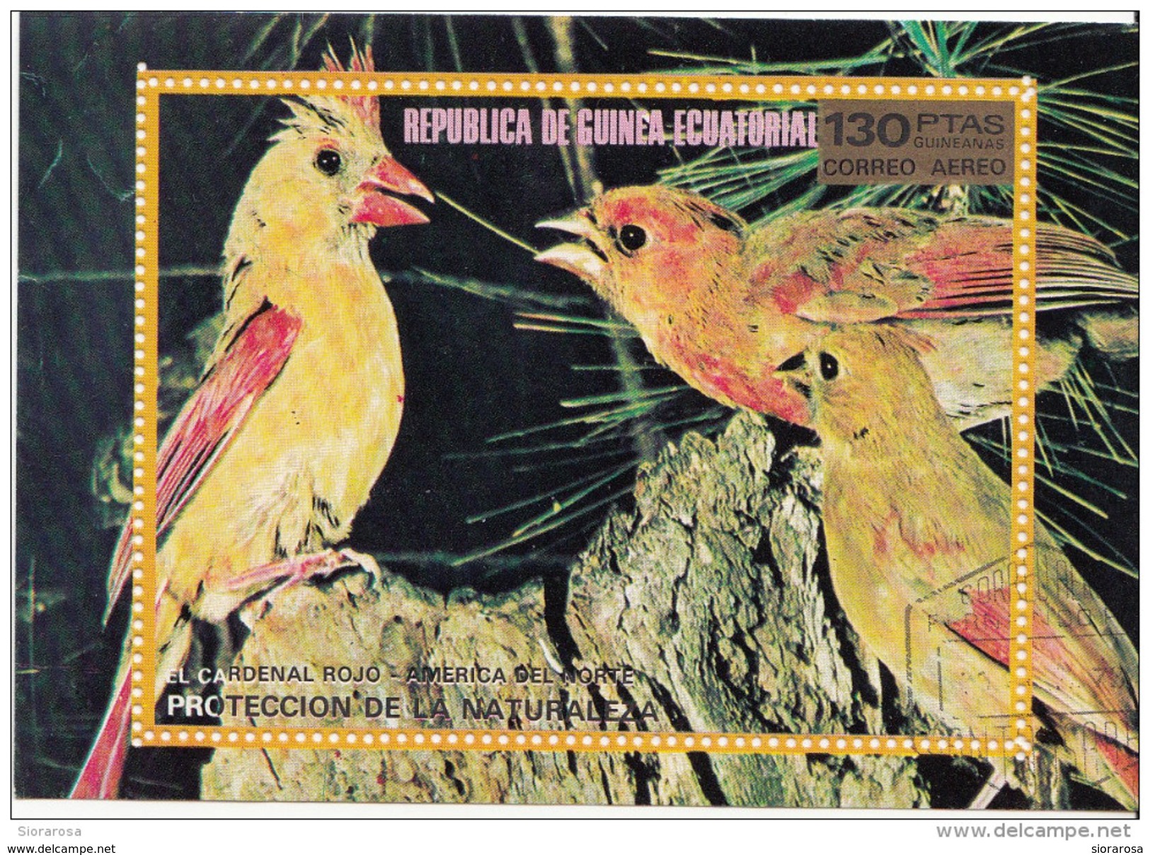 Guinea Equatoriale 1976 Bf. 250 Birds Pappagalli CARDENAL ROJO Parrots Perroquets Sheet Perf. - Papageien