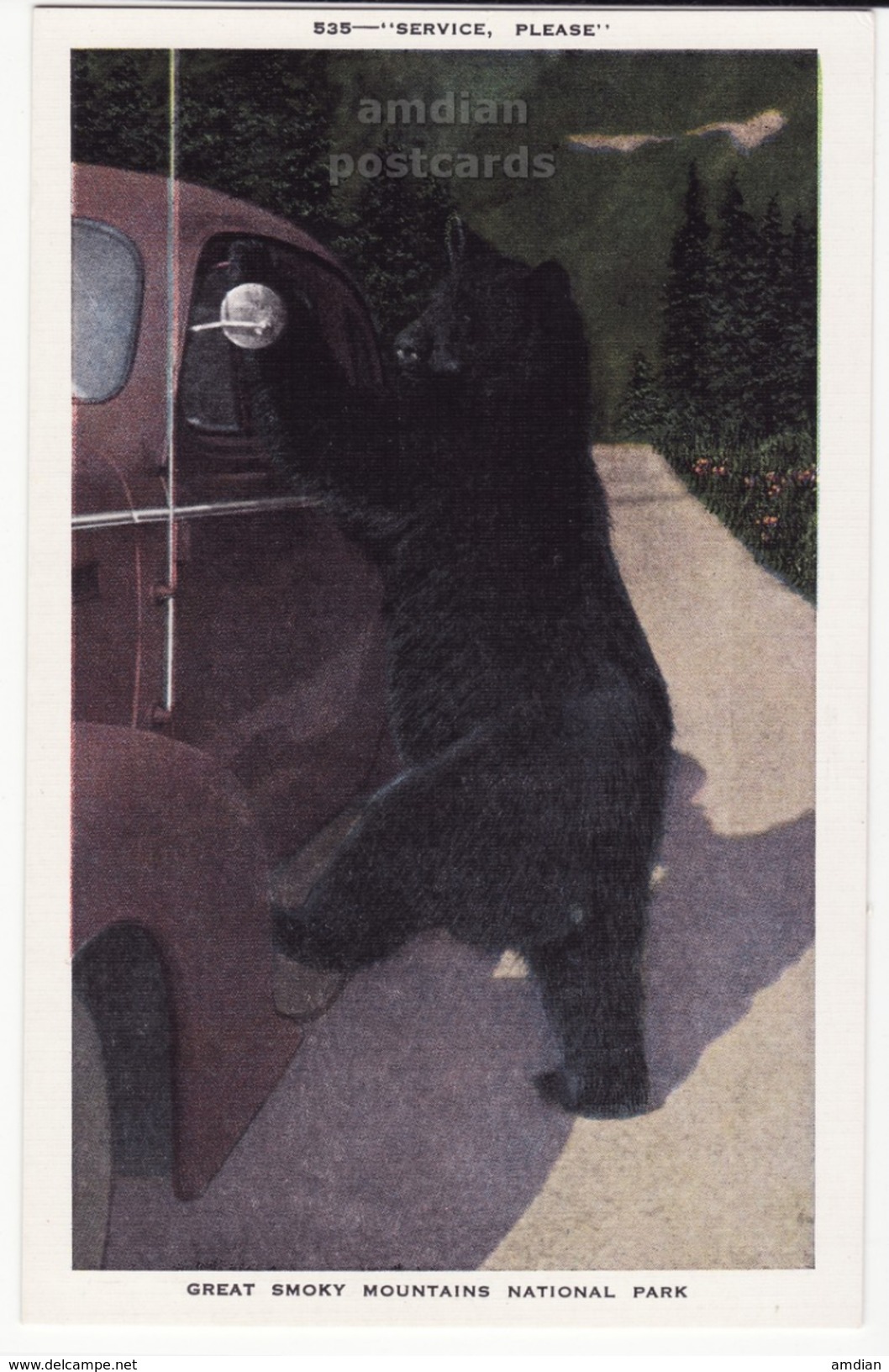 USA, Great Smoky Mountains National Park TN, "Service Please", Black Bear On Car Window, C1940s Unused Vintage Postcard - Smokey Mountains