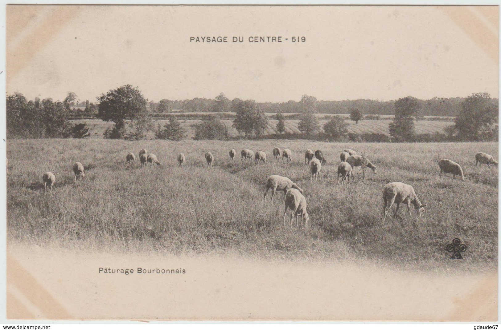 PAYSAGE DU CENTRE - PATURAGE BOURBONNAIS - Auvergne