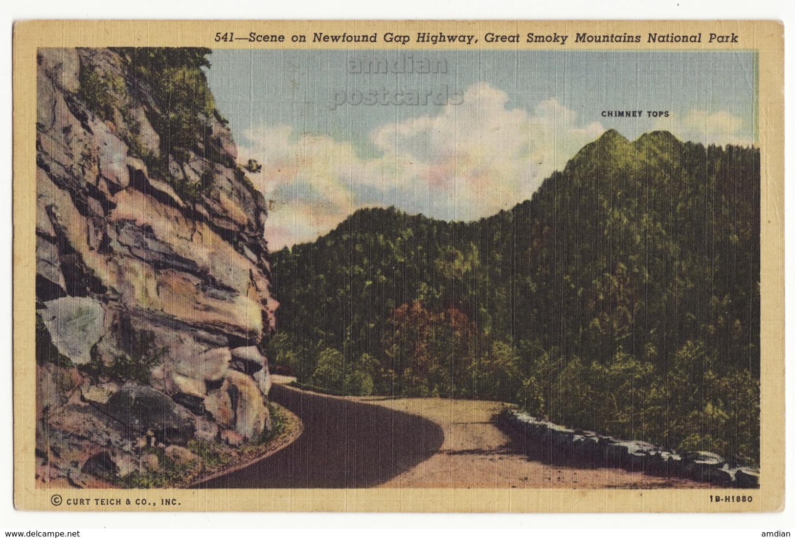 Scene On Newfound Gap Highway, Great Smoky Mountains National Park TN, 1940s Vintage Postcard - Smokey Mountains