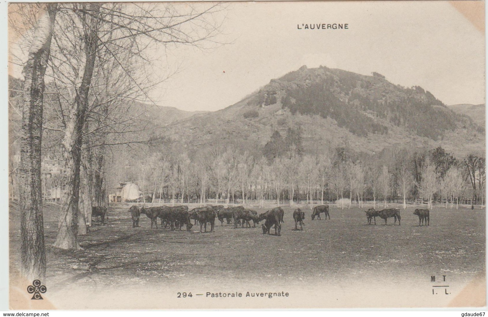 AUVERGNE - PASTORALE AUVERGNATE - Auvergne