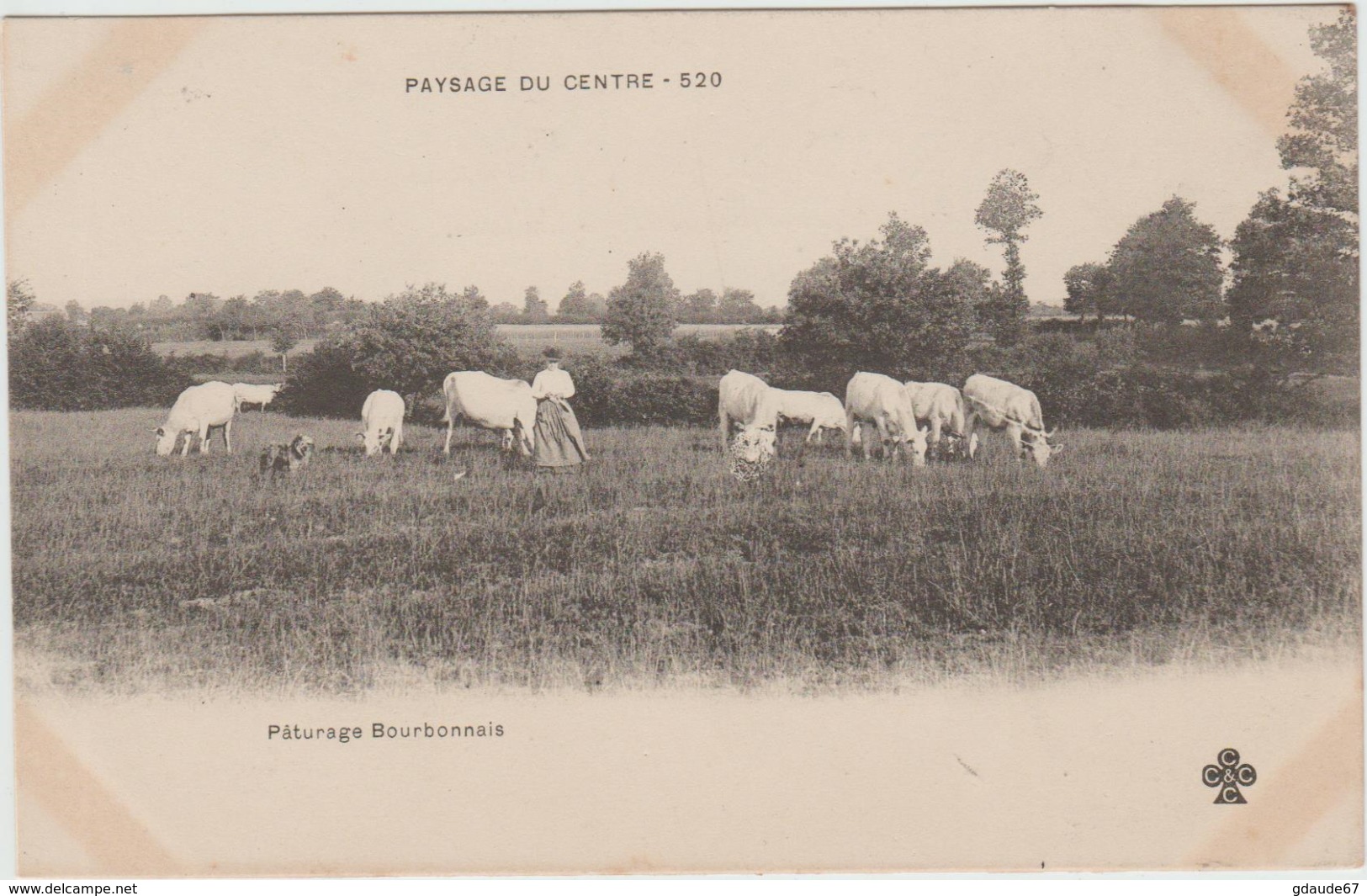 AUVERGNE - PAYSAGE DU CENTRE - PATURAGE BOURBONNAIS - Auvergne