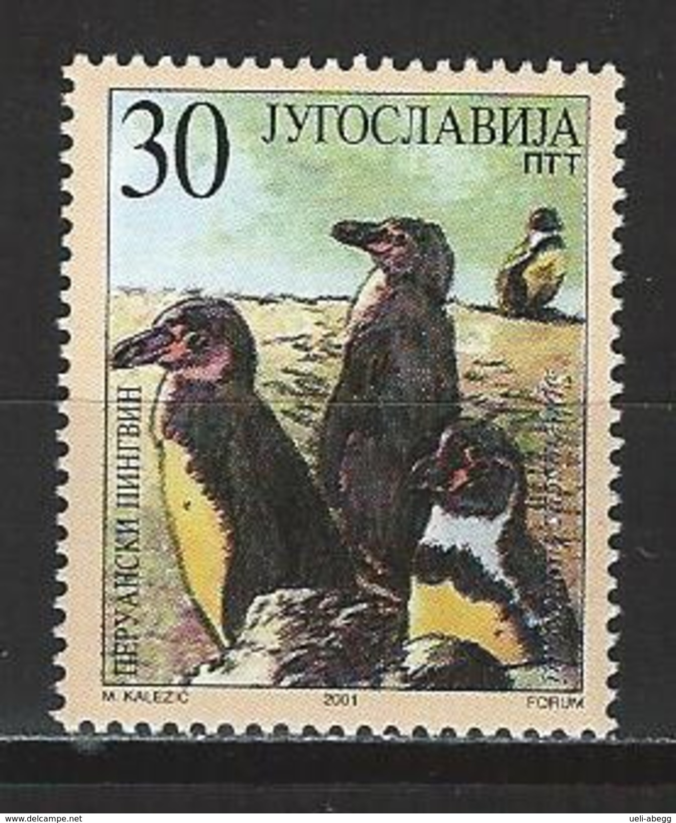 Jugoslawien Mi 3016 ** MNH Spheniscus Humboldti - Pinguine